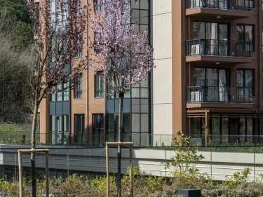 Image of DAP Ormanköy