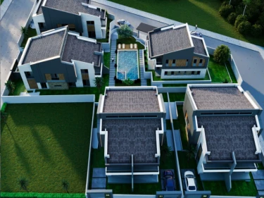 Image of Arter Flora