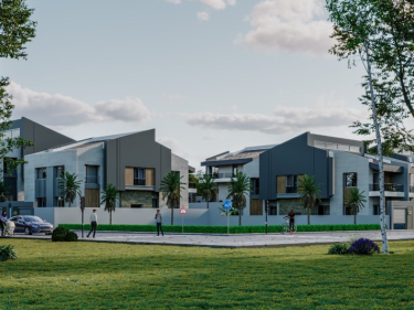 Image of Arter Flora