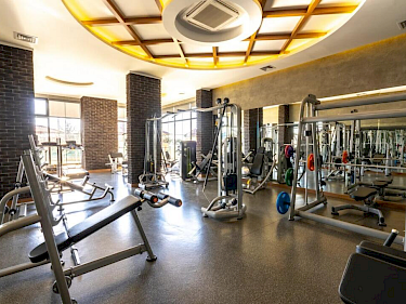 Image of Kestel Armani