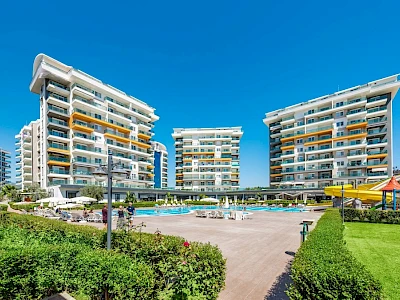 Image of Siberland Olive Garden