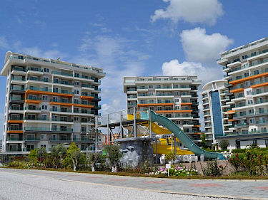 Image of Siberland Olive Garden