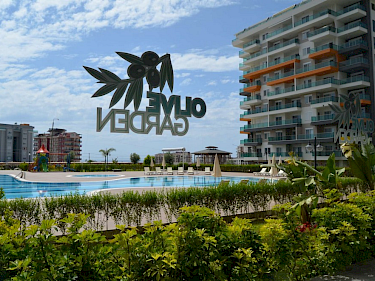 Image of Siberland Olive Garden