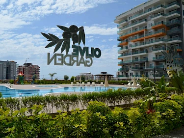 Image of Siberland Olive Garden