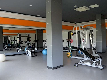 Image of Siberland Olive Garden