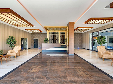 Image of Siberland Olive Garden