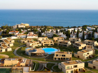 Image of White Shell