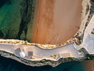 Image of White Shell