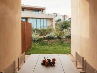 Image of White Shell