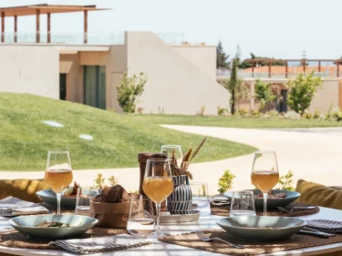 Image of White Shell