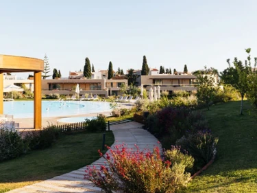 Image of White Shell