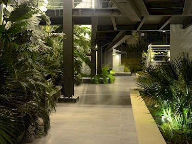 Image of The Chesme Executive