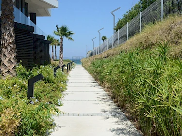 Image of The Chesme Executive