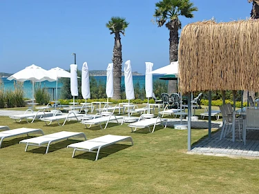 Image of The Chesme Executive