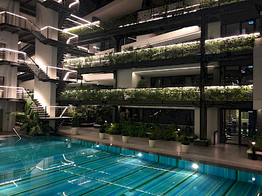 Image of The Chesme Executive