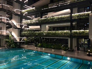 Image of The Chesme Executive