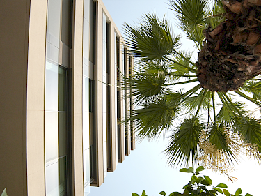 Image of The Majestik