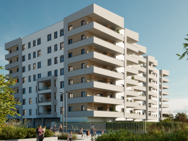 Image of DIMENSUR TERRA