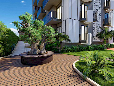 Image of Best Home Saga