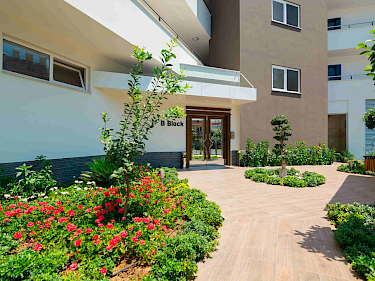 Image of BestHome-20 Cleopatra Select