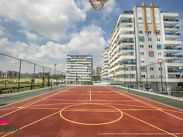 Image of Emerald Dreams