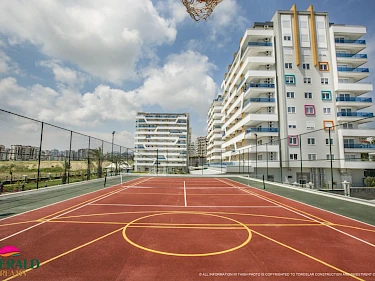 Image of Emerald Dreams