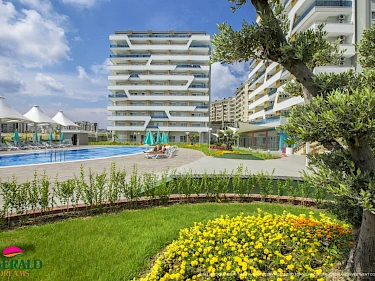 Image of Emerald Dreams