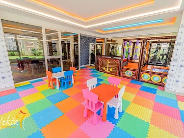 Image of Investment Plus