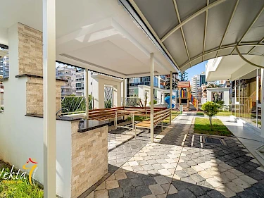 Image of Investment Plus