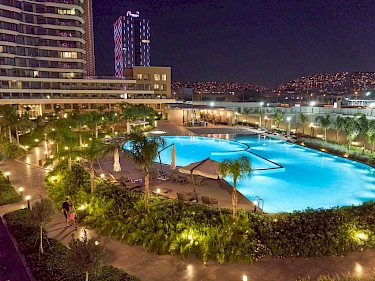 Image of Folkart Vega