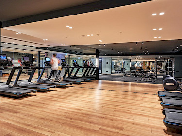 Image of Folkart Vega