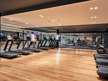 Image of Folkart Vega