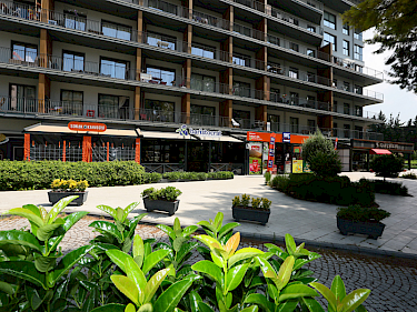 Image of Folkart Life