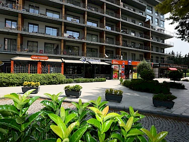 Image of Folkart Life