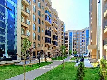 Image of Folkart Line