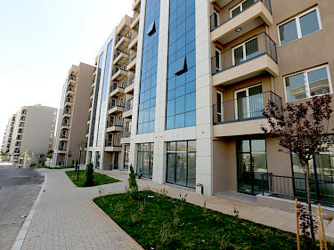 Image of Folkart Line