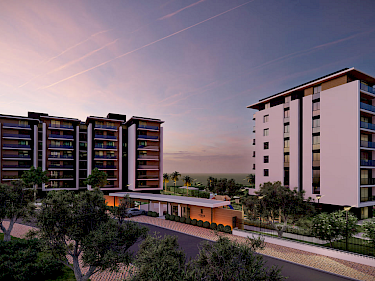 Image of Terra Modern