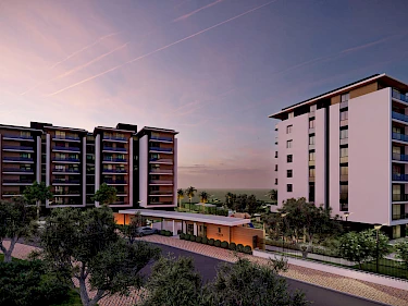 Image of Terra Modern