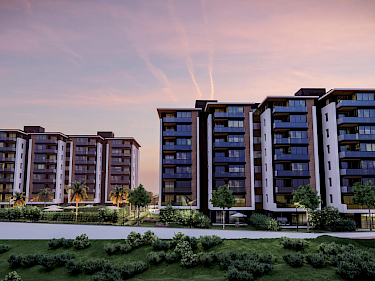 Image of Terra Modern