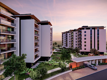 Image of Terra Modern