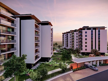 Image of Terra Modern