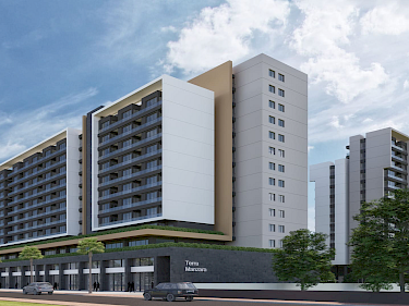 Image of Terra Manzara