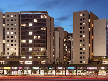 Image of Terra Manzara