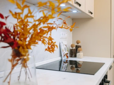 Image of 住宅小区“第一列宁格勒斯基”