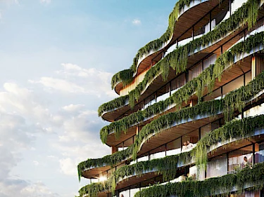 Image of Layan Verde