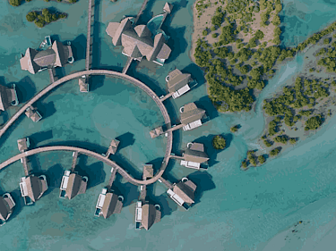 Image of NB Collection