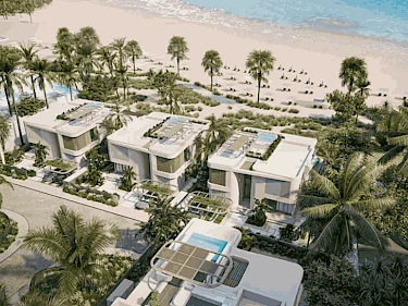 Image of NB Collection