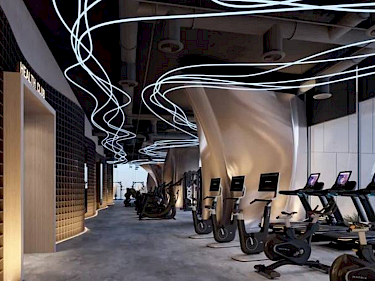 Image of Tiger Sky Tower