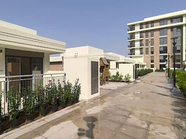 Image of Holland Gardens