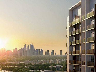 Image of Azizi Amber